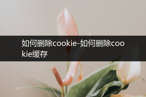 如何删除cookie-如何删除cookie缓存