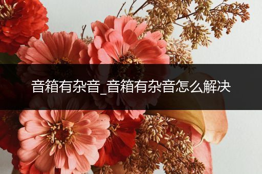 音箱有杂音_音箱有杂音怎么解决
