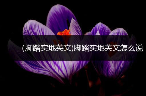 （脚踏实地英文)脚踏实地英文怎么说