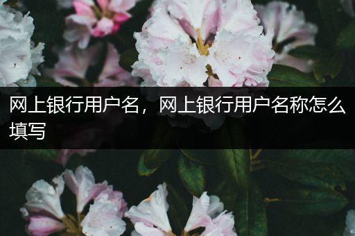 网上银行用户名，网上银行用户名称怎么填写