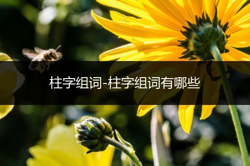 柱字组词-柱字组词有哪些