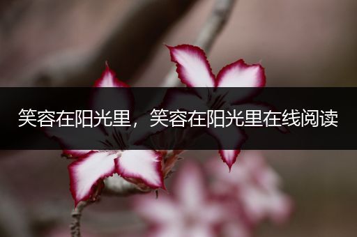 笑容在阳光里，笑容在阳光里在线阅读