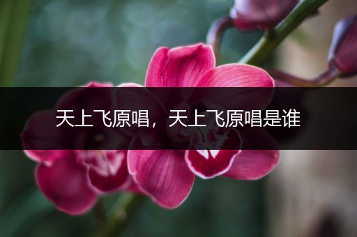天上飞原唱，天上飞原唱是谁