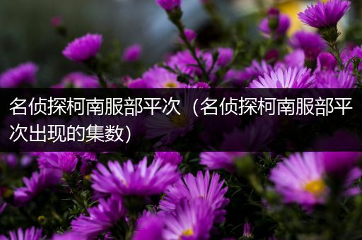 名侦探柯南服部平次（名侦探柯南服部平次出现的集数）