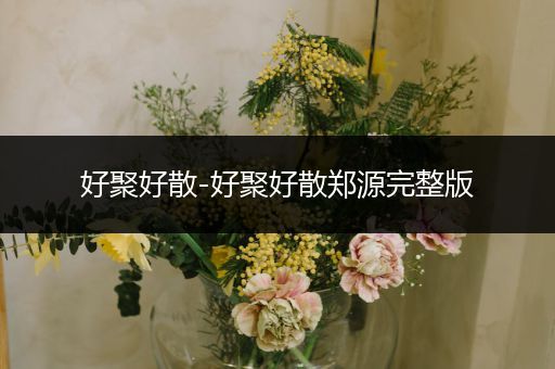好聚好散-好聚好散郑源完整版