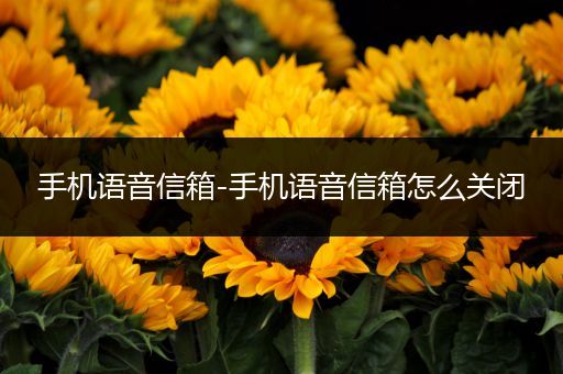手机语音信箱-手机语音信箱怎么关闭