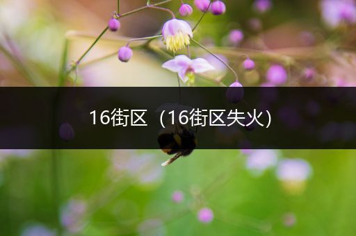 16街区（16街区失火）