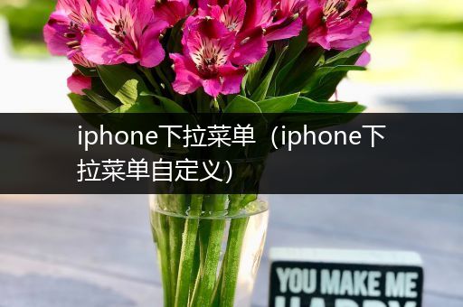iphone下拉菜单（iphone下拉菜单自定义）