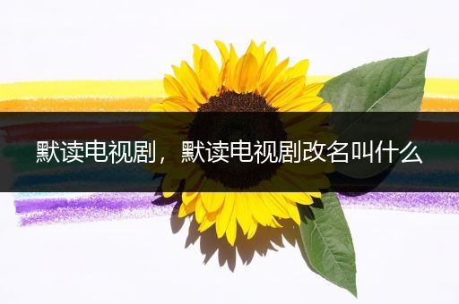默读电视剧，默读电视剧改名叫什么