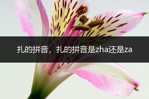扎的拼音，扎的拼音是zha还是za