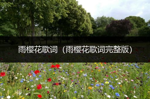 雨樱花歌词（雨樱花歌词完整版）