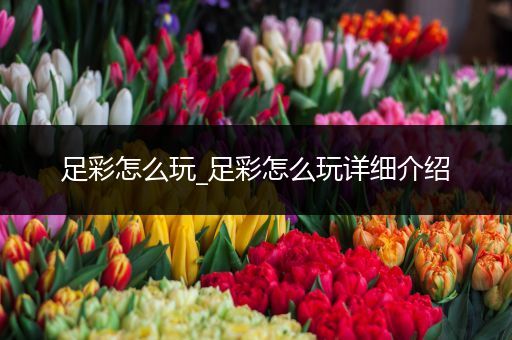足彩怎么玩_足彩怎么玩详细介绍