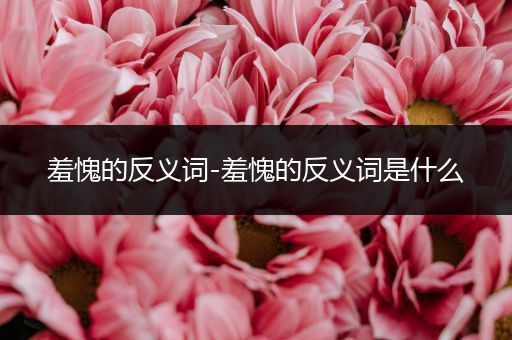 羞愧的反义词-羞愧的反义词是什么