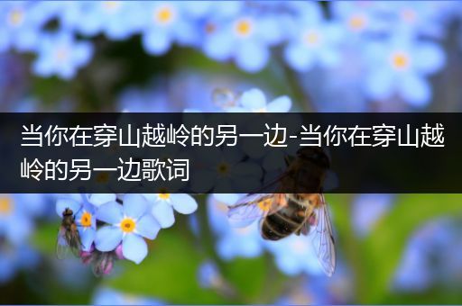 当你在穿山越岭的另一边-当你在穿山越岭的另一边歌词