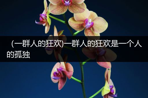 （一群人的狂欢)一群人的狂欢是一个人的孤独