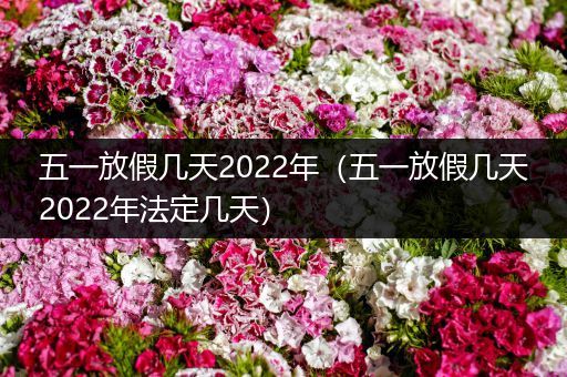 五一放假几天2022年（五一放假几天2022年法定几天）