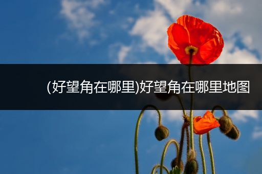 （好望角在哪里)好望角在哪里地图