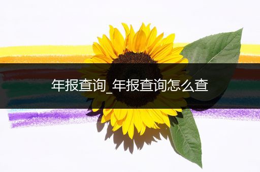 年报查询_年报查询怎么查