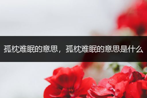 孤枕难眠的意思，孤枕难眠的意思是什么
