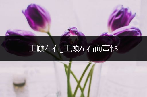 王顾左右_王顾左右而言他