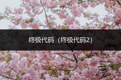 终极代码（终极代码2）