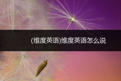 （维度英语)维度英语怎么说