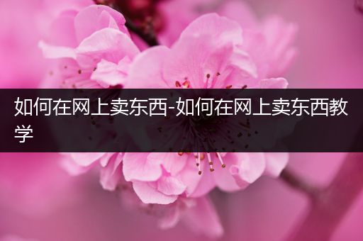 如何在网上卖东西-如何在网上卖东西教学