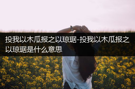 投我以木瓜报之以琼琚-投我以木瓜报之以琼琚是什么意思