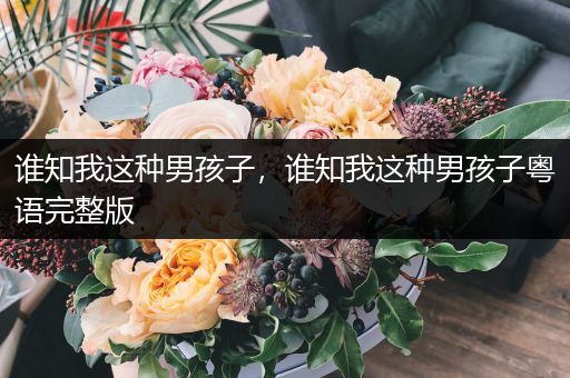 谁知我这种男孩子，谁知我这种男孩子粤语完整版