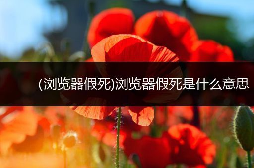 （浏览器假死)浏览器假死是什么意思