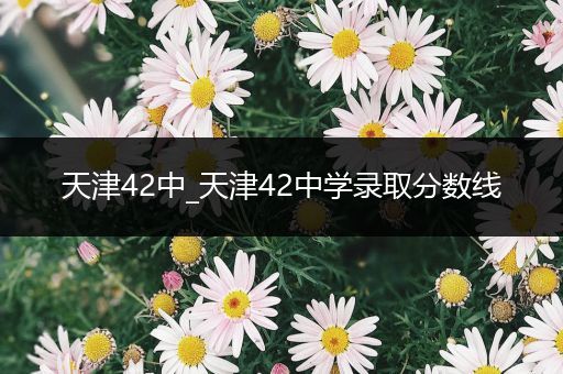 天津42中_天津42中学录取分数线