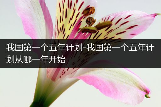 我国第一个五年计划-我国第一个五年计划从哪一年开始
