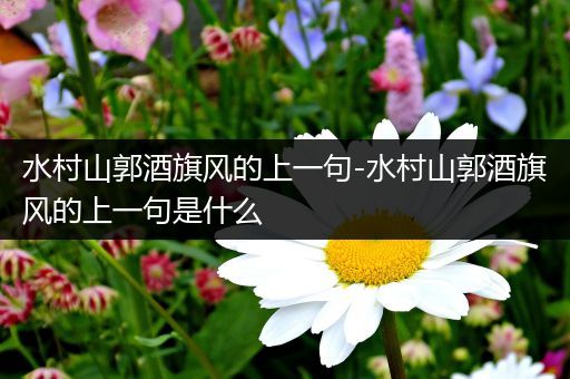 水村山郭酒旗风的上一句-水村山郭酒旗风的上一句是什么