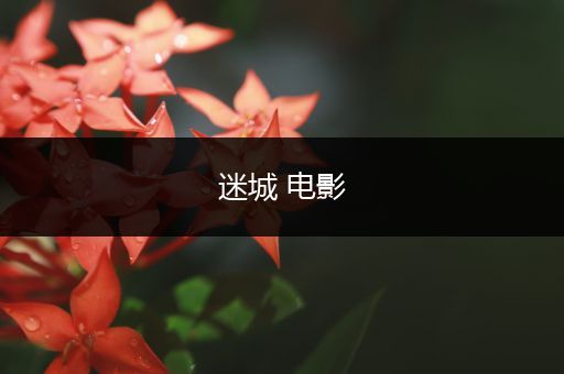 迷城 电影