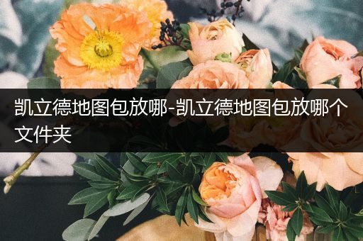 凯立德地图包放哪-凯立德地图包放哪个文件夹