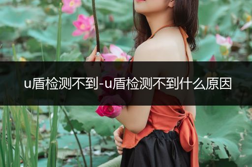 u盾检测不到-u盾检测不到什么原因