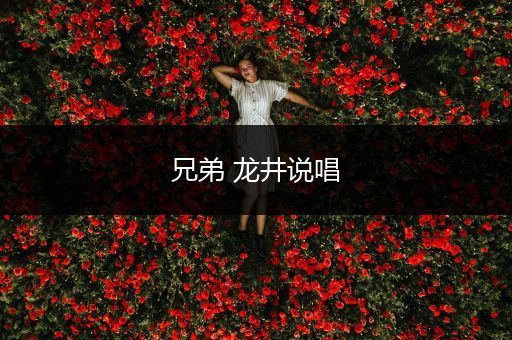 兄弟 龙井说唱