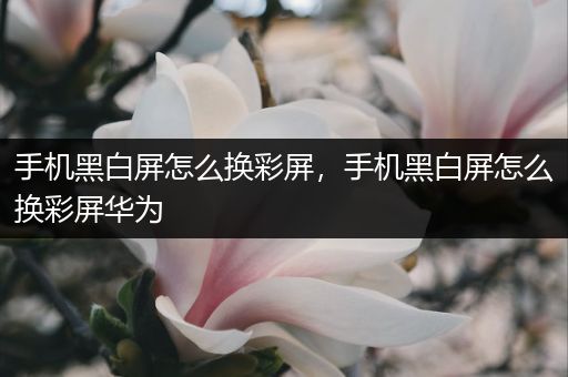 手机黑白屏怎么换彩屏，手机黑白屏怎么换彩屏华为