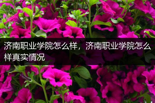 济南职业学院怎么样，济南职业学院怎么样真实情况
