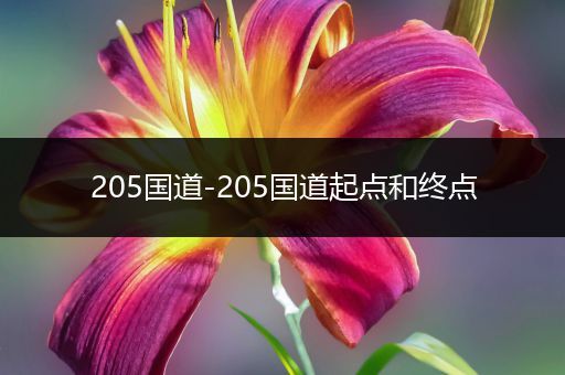 205国道-205国道起点和终点