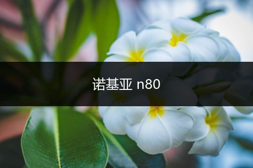 诺基亚 n80