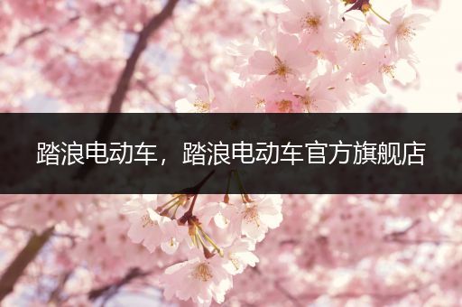 踏浪电动车，踏浪电动车官方旗舰店
