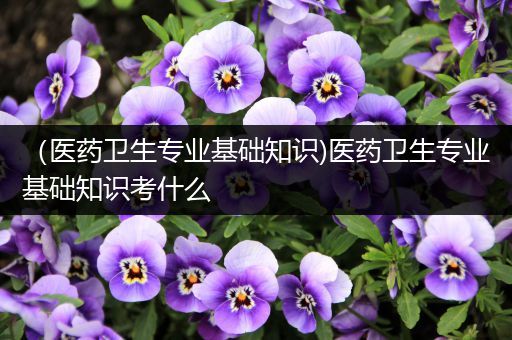 （医药卫生专业基础知识)医药卫生专业基础知识考什么