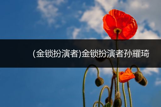 （金锁扮演者)金锁扮演者孙耀琦
