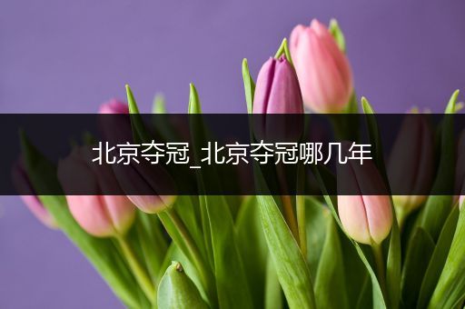 北京夺冠_北京夺冠哪几年