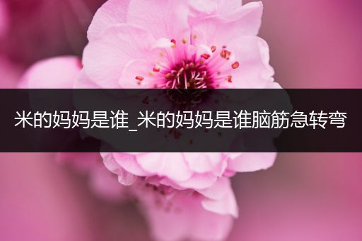 米的妈妈是谁_米的妈妈是谁脑筋急转弯