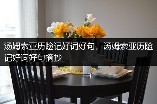 汤姆索亚历险记好词好句，汤姆索亚历险记好词好句摘抄
