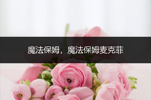 魔法保姆，魔法保姆麦克菲