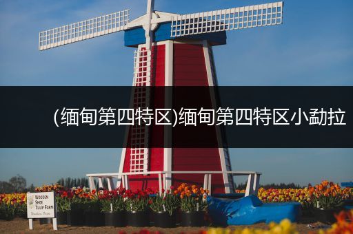 （缅甸第四特区)缅甸第四特区小勐拉