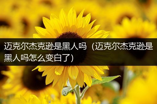 迈克尔杰克逊是黑人吗（迈克尔杰克逊是黑人吗怎么变白了）